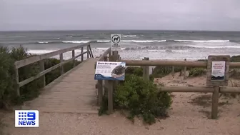 Girl drowns at Victoria beach | 9 News Australia