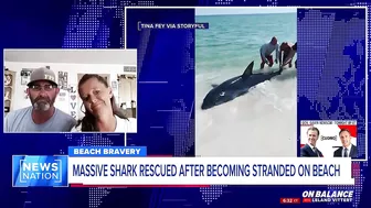 ‘We had to do what we had to do’: Beachgoers save stranded shark on Florida beach | On Balance