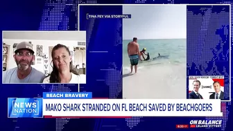 ‘We had to do what we had to do’: Beachgoers save stranded shark on Florida beach | On Balance