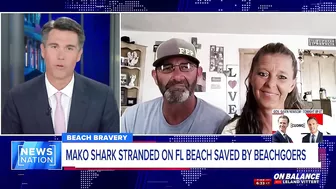 ‘We had to do what we had to do’: Beachgoers save stranded shark on Florida beach | On Balance