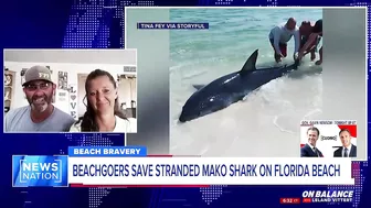 ‘We had to do what we had to do’: Beachgoers save stranded shark on Florida beach | On Balance