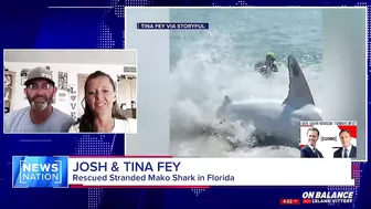 ‘We had to do what we had to do’: Beachgoers save stranded shark on Florida beach | On Balance