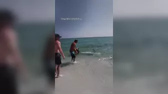 Mako shark pulled back into the water at a Florida beach