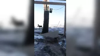 Rogue wave slams into beach restaurant in South Africa