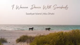 I Wanna Dance with Somebody - Music Travel Love (At Saadiyat Island, Abu Dhabi)