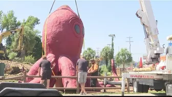 Giant Surfside Beach octopus moved