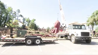 Giant Surfside Beach octopus moved