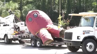 Giant Surfside Beach octopus moved