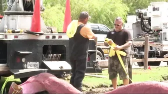 Giant Surfside Beach octopus moved