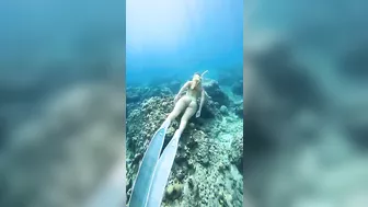 Deel Underwater Bikini Model Girls | 4k Underwater Life Videos | Freediving Girls 2023