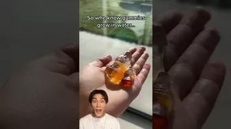 ISSEI funny video ???????????? Try ways to make gummies bigger!