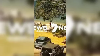 P-plate driver crashes onto Sydney beach | 7 News Australia