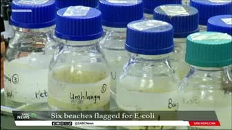 Six Durban beaches flagged with critical levels of E. coli