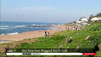 Six Durban beaches flagged with critical levels of E. coli