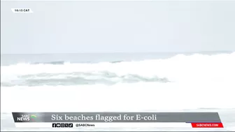 Six Durban beaches flagged with critical levels of E. coli