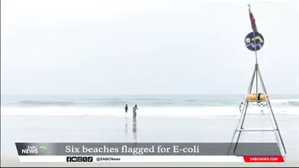 Six Durban beaches flagged with critical levels of E. coli