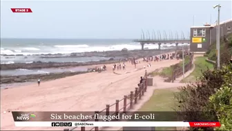 Six Durban beaches flagged with critical levels of E. coli