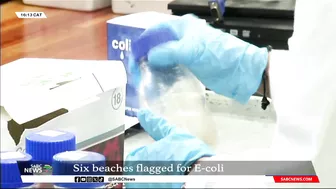 Six Durban beaches flagged with critical levels of E. coli