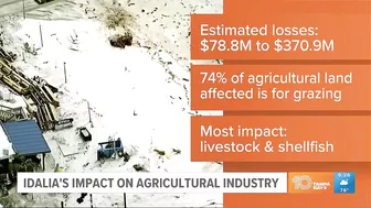 Idalia's impact on Turtle Beach and agriculture