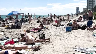 ???????? Beautiful day at Miami beach walk | beach walk 4k