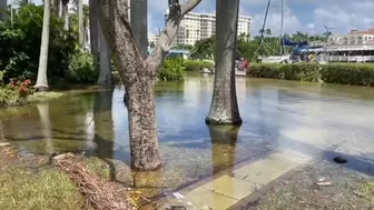 King tides expected Friday in Palm Beach County