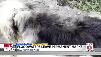 Floodwaters leave permanent marks on Daytona Beach home