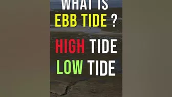 Why a beach disappears in India everyday ? The concept of Ebb tides in Chandipur beach.