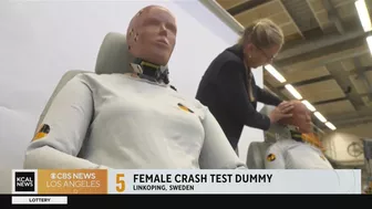 Researchers in Sweden have developed a female crash test dummy