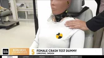 Researchers in Sweden have developed a female crash test dummy