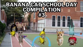 Banana Cat School Day Series Part 3 - Happy Cat TikTok Compilation