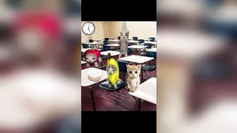 Banana Cat School Day Series Part 3 - Happy Cat TikTok Compilation