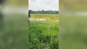 Fishing at a stream