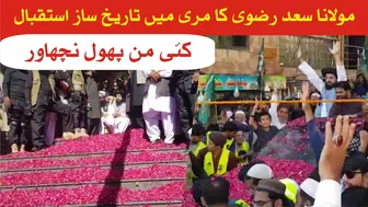 مولانا حافظ سعد رضوی کا مری میں تاریخ ساز استقبال ۔ کئی من پھول نچھاور ۔