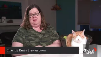 Fat cat "Peaches" makes splash on TikTok over weight loss routine