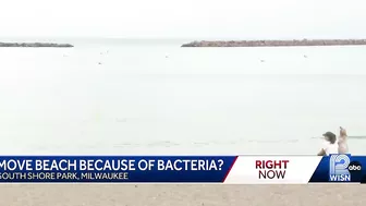 Move beach because of bacteria?