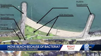 Move beach because of bacteria?