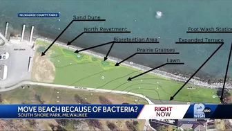 Move beach because of bacteria?