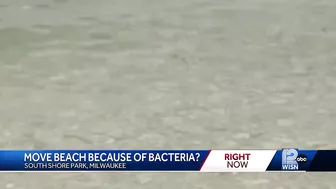 Move beach because of bacteria?