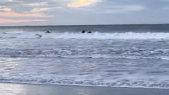 North Florida Surf & Beach Update 7:35am 10/30/21