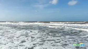 Lots of Waves this Morning at the Beach in North Naples, FL 10.29.21