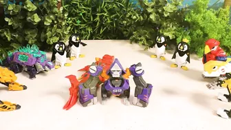 Beast Box Stop motion - The beach