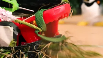 Beast Box Stop motion - The beach