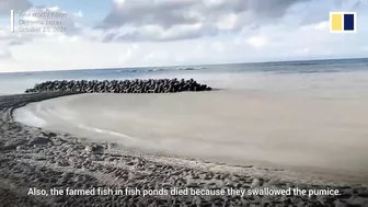 Pumice stone accumulation on Okinawa beach ‘disastrous’ for village