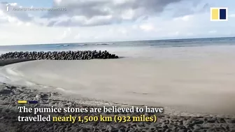 Pumice stone accumulation on Okinawa beach ‘disastrous’ for village