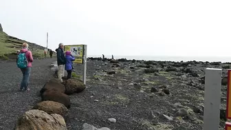 Dyrholaey und Reynisfjara Black Beach Island