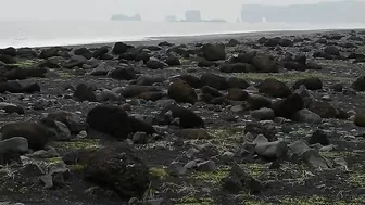 Dyrholaey und Reynisfjara Black Beach Island