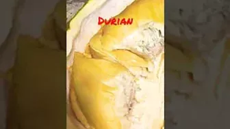 #shorts #travel #shortstory #durian #delicious Durian Fruit A Smell So Rotten a Taste So Sweet