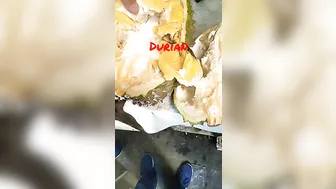 #shorts #travel #shortstory #durian #delicious Durian Fruit A Smell So Rotten a Taste So Sweet