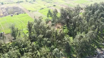 Kalamb Beach l Beach Near Mumbai l Cinematic Drone Shots