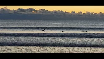 North Florida Surf and Beach Update 725am 10.31.2021